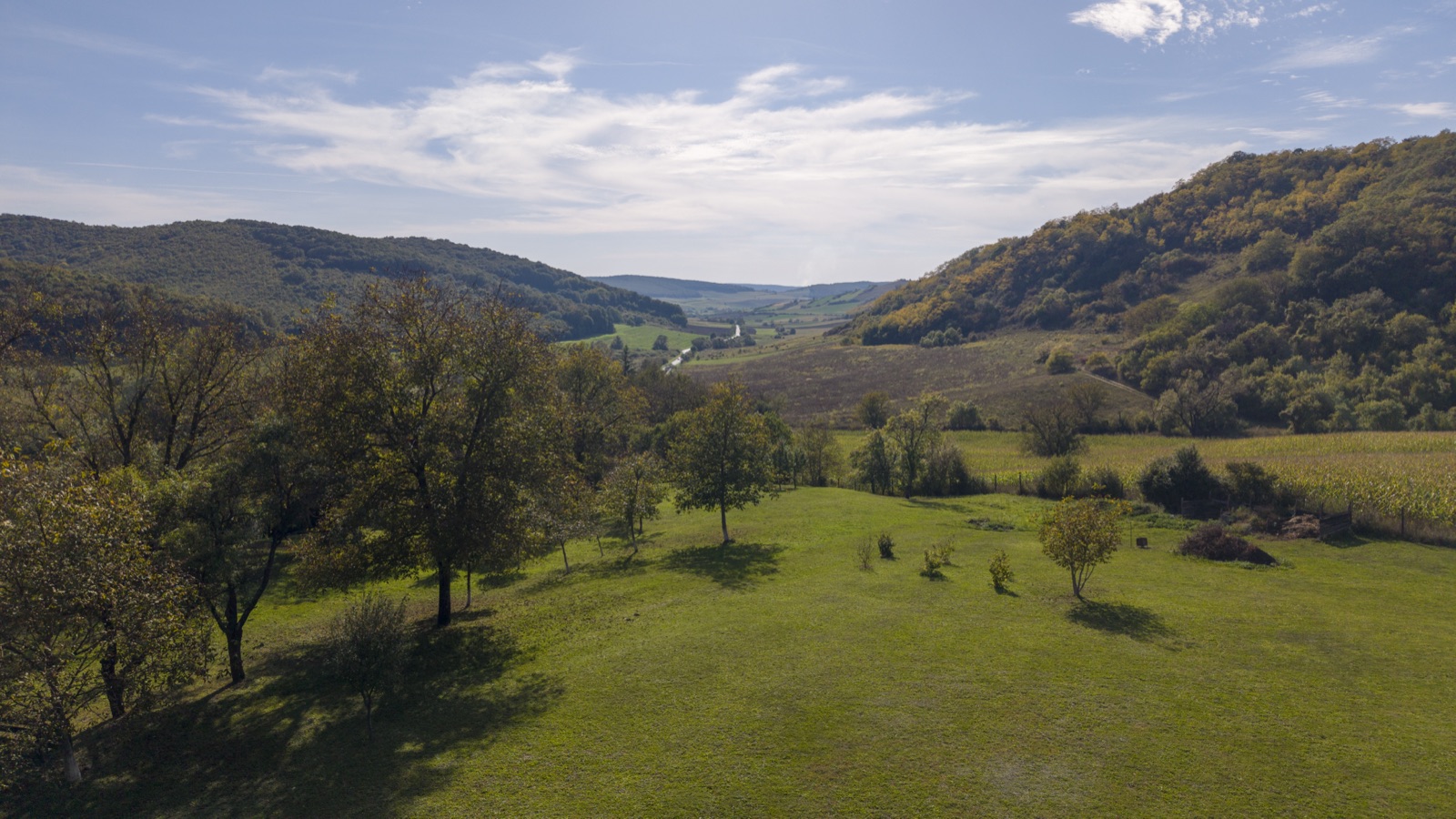 Eine malerische Landschaft mit Blick auf ein Tal.